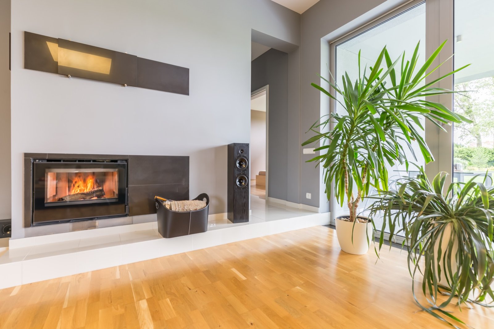 Confortable and ample apartment